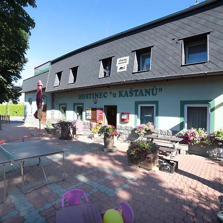 Pension U Kastanu Karlovy Vary Exterior photo