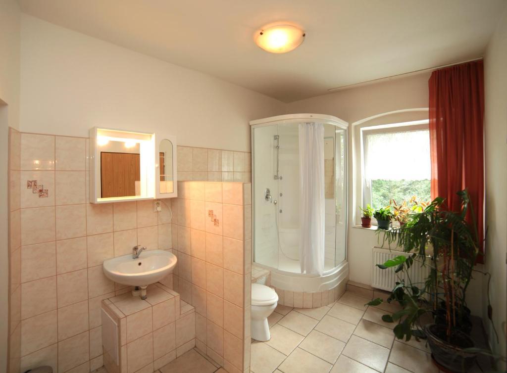 Pension U Kastanu Karlovy Vary Room photo